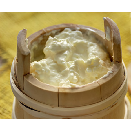 Mladi Kajmak 500g